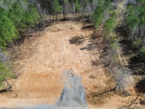 lot8 John Swindle Rd, Northport, AL 35475