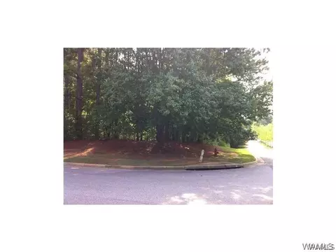 7001 Audrey Rose Cir #152, Tuscaloosa, AL 35406