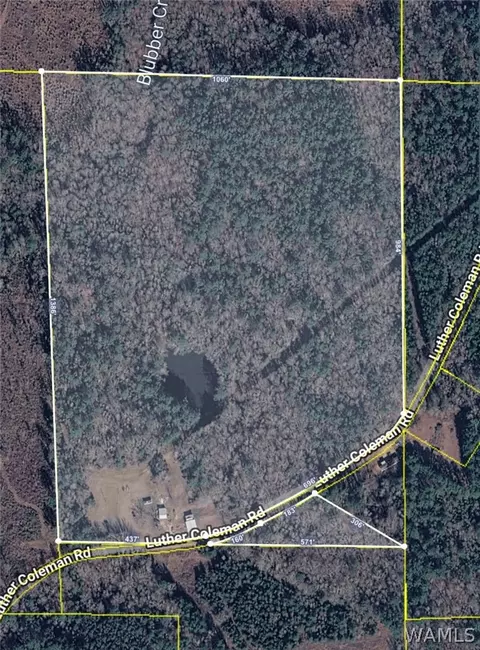 1362 Duncan Rd, Carrollton, AL 35447