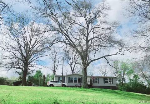 10785 Macks Rd, Coaling, AL 35453