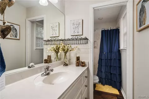 Bath - 13708 Lisa Dr, Lake View, AL 35111 photo 1 of 3