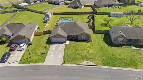 View/Area - 10758 Bent Brook Dr, Vance, AL 35490 photo 1 of 9