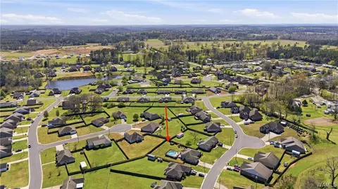 View/Area - 10758 Bent Brook Dr, Vance, AL 35490 photo 7 of 9