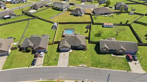 View/Area - 10758 Bent Brook Dr, Vance, AL 35490 photo 2 of 9