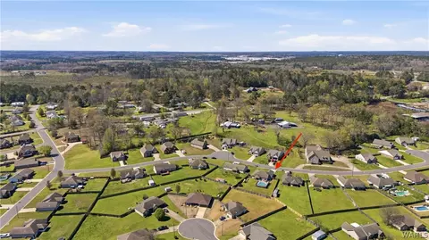 View/Area - 10758 Bent Brook Dr, Vance, AL 35490 photo 8 of 9