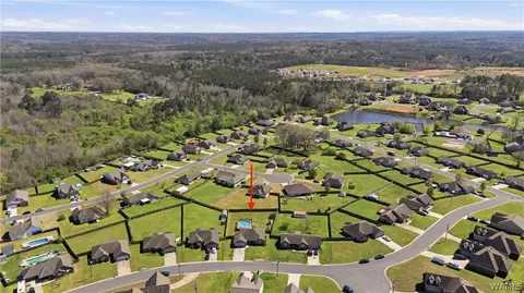 View/Area - 10758 Bent Brook Dr, Vance, AL 35490 photo 6 of 9