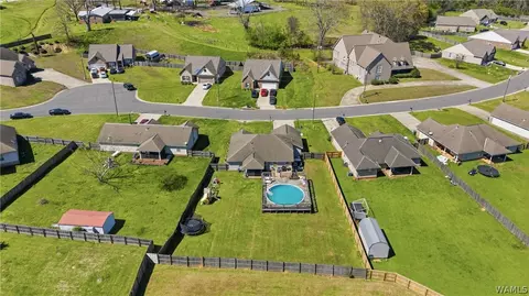 View/Area - 10758 Bent Brook Dr, Vance, AL 35490 photo 4 of 9