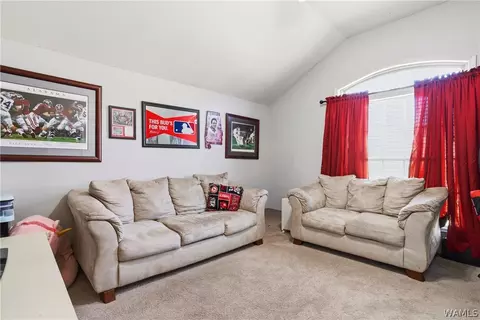 Other - 10758 Bent Brook Dr, Vance, AL 35490 photo 8 of 11
