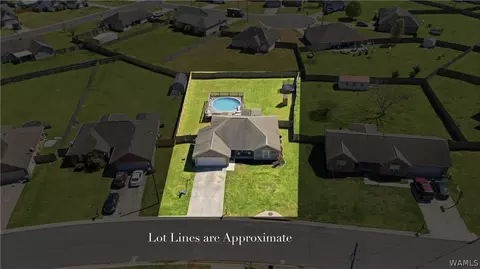 View/Area - 10758 Bent Brook Dr, Vance, AL 35490 photo 3 of 9