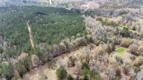 0 Billy Bigham Rd, Northport, AL 35475