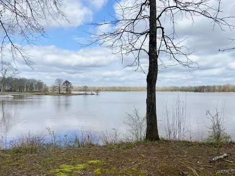 0 Cypress Point Dr, Akron, AL 35441