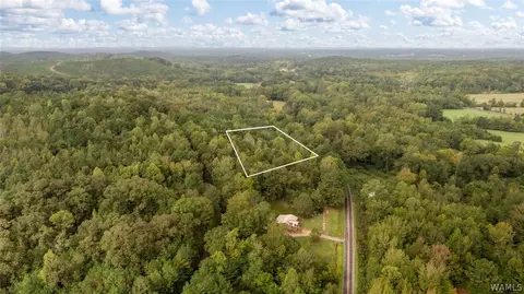 0 County Road 26 S, Fayette, AL 35555