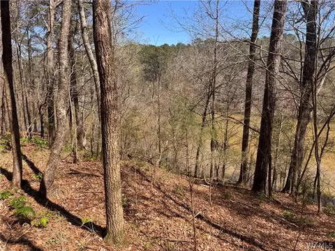 00 Finnell Rd, Northport, AL 35475