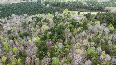 1 County Highway 42, Guin, AL 35563