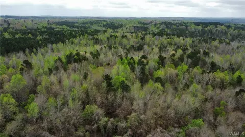 3 County Highway 42, Guin, AL 35563