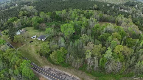 00 Romulus Rd, Ralph, AL 35480 photo 3