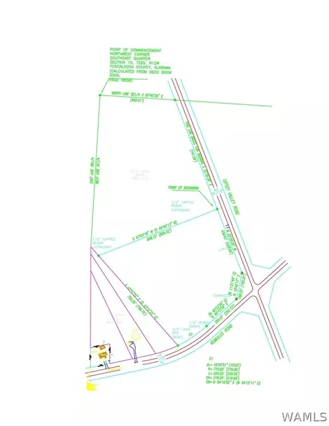 00 Romulus Rd, Ralph, AL 35480 photo 7