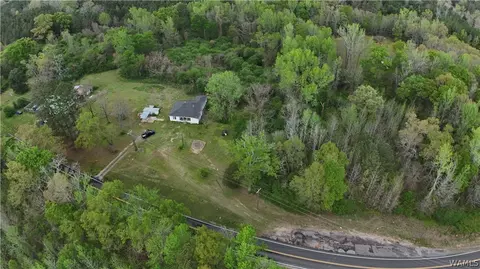 00 Romulus Rd, Ralph, AL 35480 photo 5