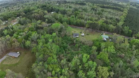 00 Romulus Rd, Ralph, AL 35480 photo 6