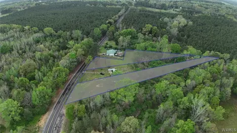 00 Romulus Rd, Ralph, AL 35480 photo 2
