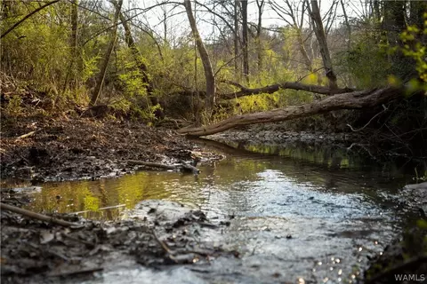 tbd Prudes Creek Rd, Brookwood, AL 35444