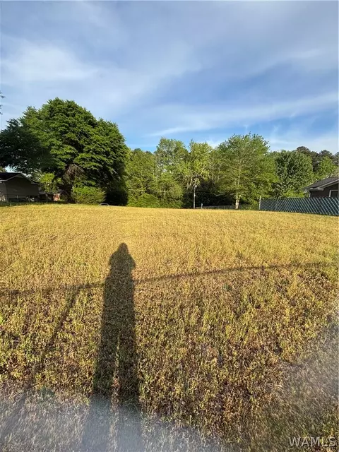 3820 37th Ave, Northport, AL 35473