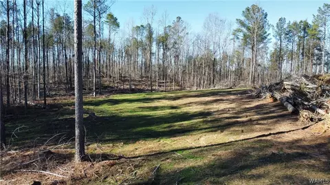 1 County Road 83, Oakman, AL 35579