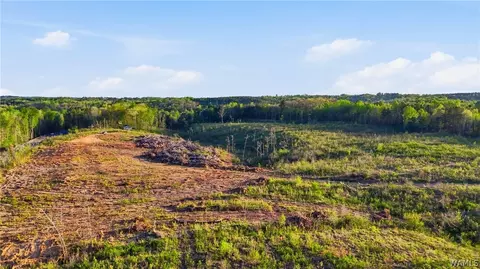 0 Highway 269, Parrish, AL 35580 photo 2