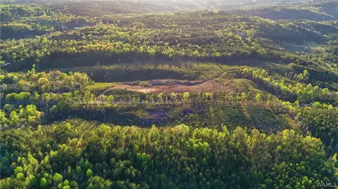 0 Highway 269, Parrish, AL 35580 photo 7