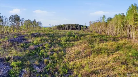 0 Highway 269, Parrish, AL 35580 photo 15
