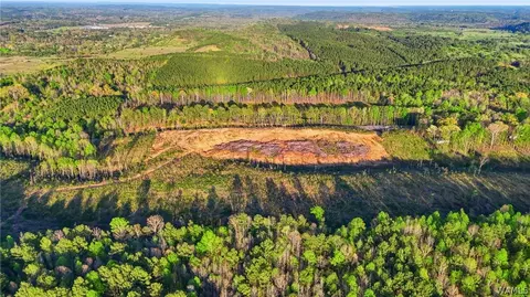 0 Highway 269, Parrish, AL 35580 photo 11