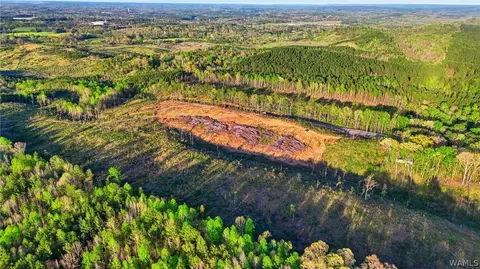 0 Highway 269, Parrish, AL 35580 photo 12