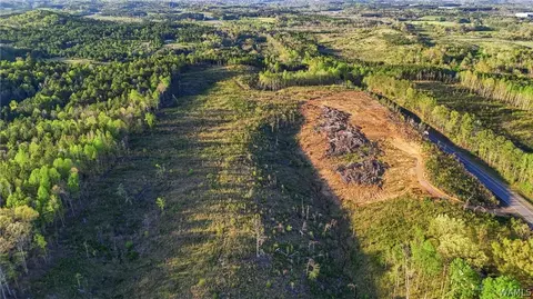 0 Highway 269, Parrish, AL 35580 photo 4