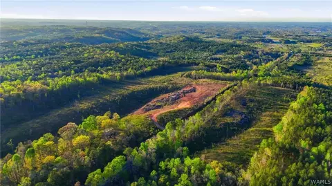 0 Highway 269, Parrish, AL 35580 photo 6