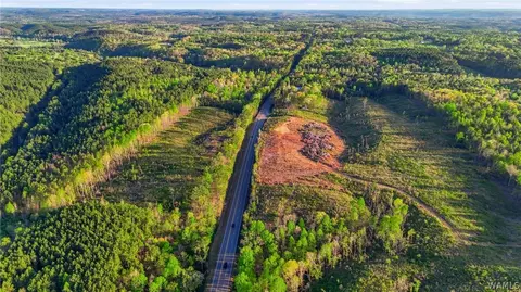 0 Highway 269, Parrish, AL 35580 photo 9