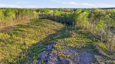 0 Highway 269, Parrish, AL 35580 photo 16