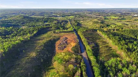 0 Highway 269, Parrish, AL 35580 photo 5