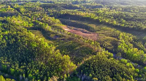 0 Highway 269, Parrish, AL 35580 photo 8