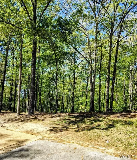 0 Clements Foley Rd, Northport, AL 35476