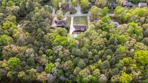 View/Area - 12727 Oak Forest Dr, Lake View, AL 35111 photo 4 of 7