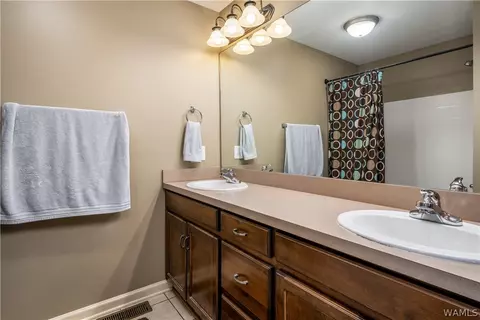 Bath - 12727 Oak Forest Dr, Lake View, AL 35111 photo 3 of 4
