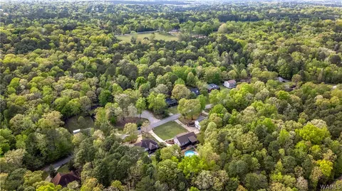 View/Area - 12727 Oak Forest Dr, Lake View, AL 35111 photo 1 of 7