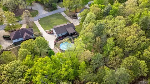 View/Area - 12727 Oak Forest Dr, Lake View, AL 35111 photo 6 of 7