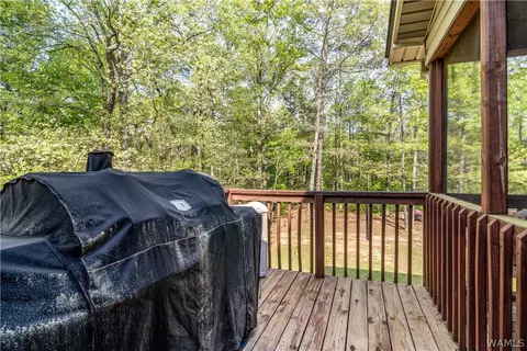 Exterior - 12727 Oak Forest Dr, Lake View, AL 35111 photo 12 of 17