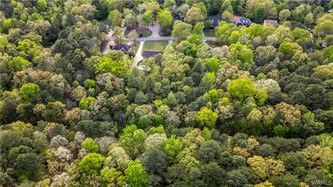 View/Area - 12727 Oak Forest Dr, Lake View, AL 35111 photo 3 of 7