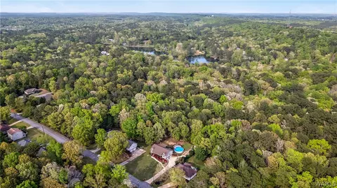 View/Area - 12727 Oak Forest Dr, Lake View, AL 35111 photo 7 of 7