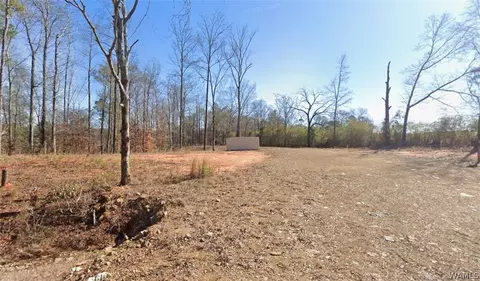 20401 Old Jasper Rd, Northport, AL 35475