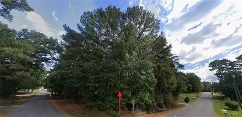 13745 Dianne Dr, Mc Calla, AL 35111