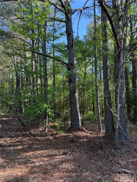 1 Old Highway 18, Vernon, AL 35592