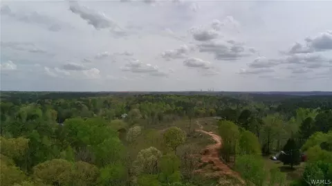 12 Sellers Hollow Rd, Dora, AL 35062